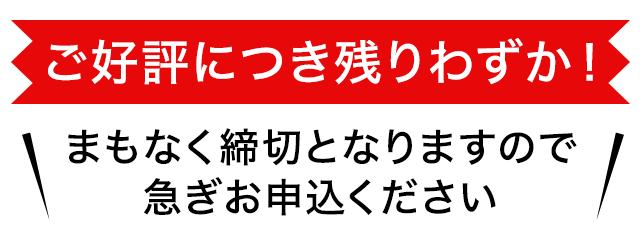 千葉ニュータウンスクール